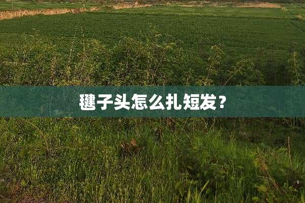 毽子头怎么扎短发？