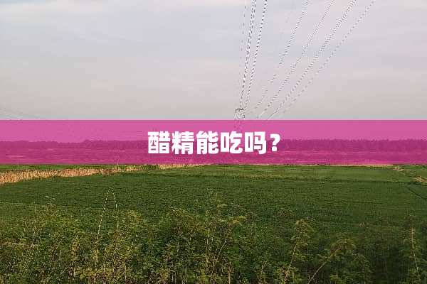 醋精能吃吗？