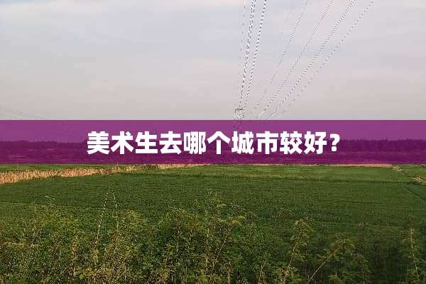 美术生去哪个城市较好？