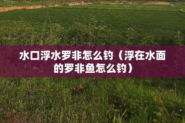 水口浮水罗非怎么钓（浮在水面的罗非鱼怎么钓）