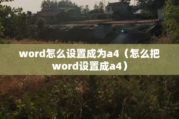 word怎么设置成为a4（怎么把word设置成a4）