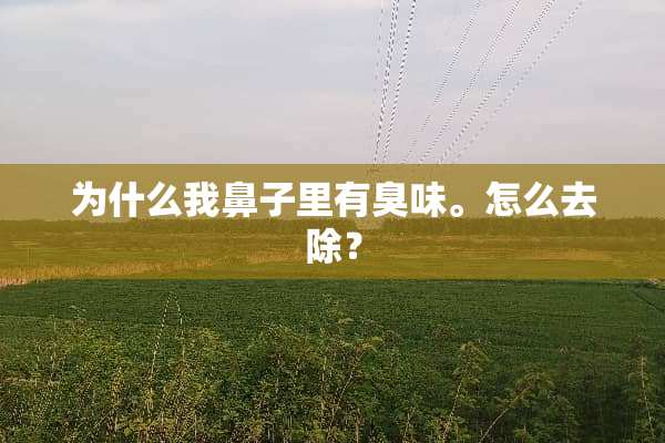 为什么我鼻子里有臭味。怎么去除？
