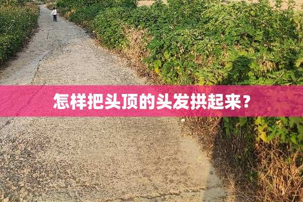 怎样把头顶的头发拱起来？