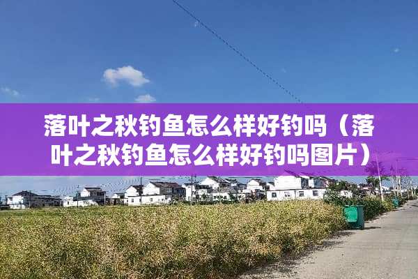 落叶之秋钓鱼怎么样好钓吗（落叶之秋钓鱼怎么样好钓吗图片）