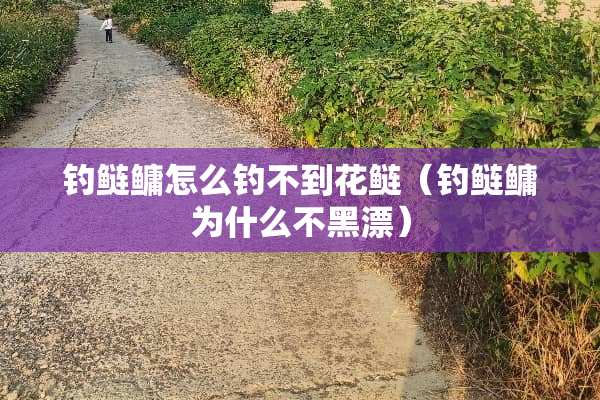 钓鲢鳙怎么钓不到花鲢（钓鲢鳙为什么不黑漂）