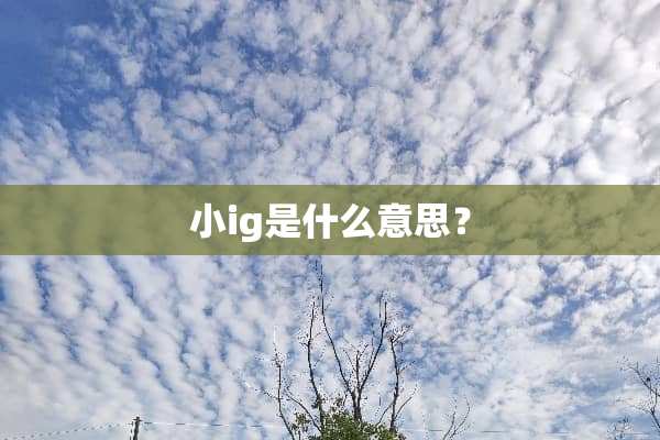 小ig是什么意思？