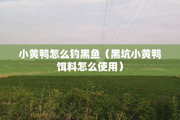 小黄鸭怎么钓黑鱼（黑坑小黄鸭饵料怎么使用）