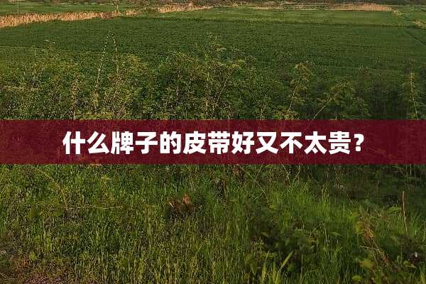 什么牌子的皮带好又不太贵？