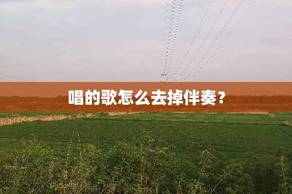 唱的歌怎么去掉伴奏？