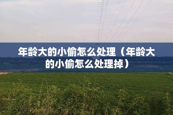 年龄大的小偷怎么处理（年龄大的小偷怎么处理掉）