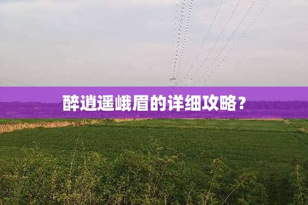 醉逍遥峨眉的详细攻略？