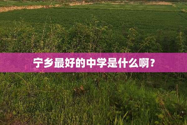 宁乡最好的中学是什么啊？