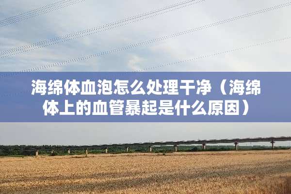 海绵体血泡怎么处理干净（海绵体上的血管暴起是什么原因）