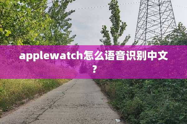 applewatch怎么语音识别中文？