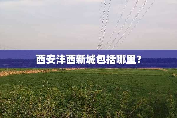 西安沣西新城包括哪里？