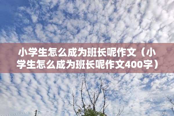 小学生怎么成为班长呢作文（小学生怎么成为班长呢作文400字）