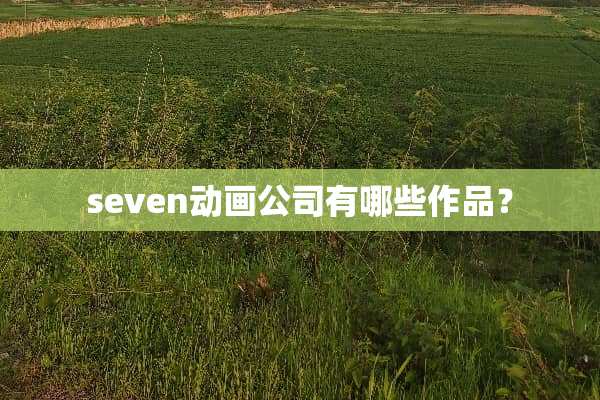 seven动画公司有哪些作品？