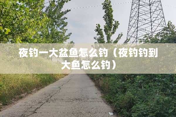 夜钓一大盆鱼怎么钓（夜钓钓到大鱼怎么钓）