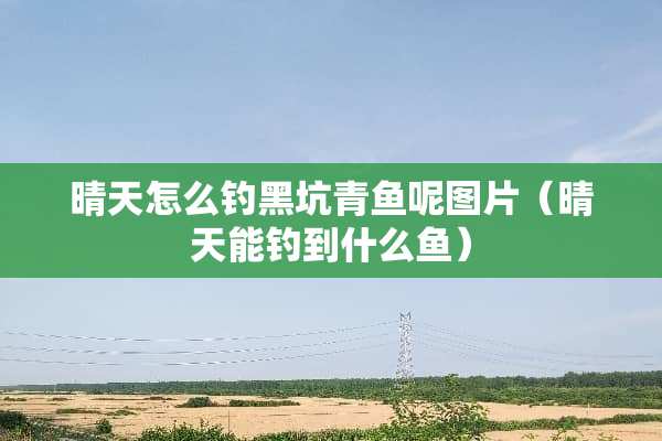 晴天怎么钓黑坑青鱼呢图片（晴天能钓到什么鱼）