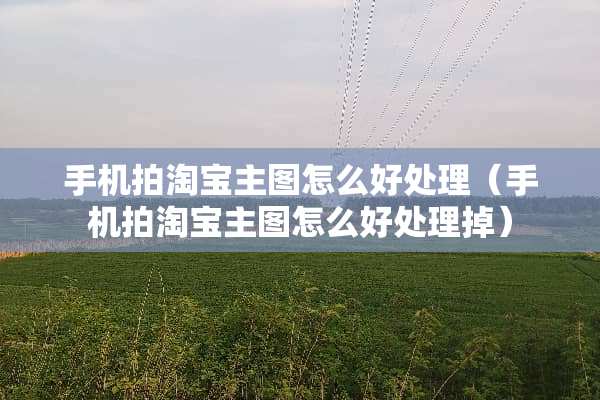 手机拍淘宝主图怎么好处理（手机拍淘宝主图怎么好处理掉）