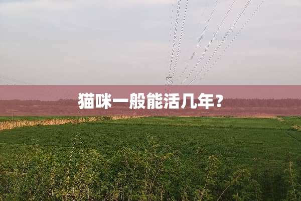 猫咪一般能活几年？