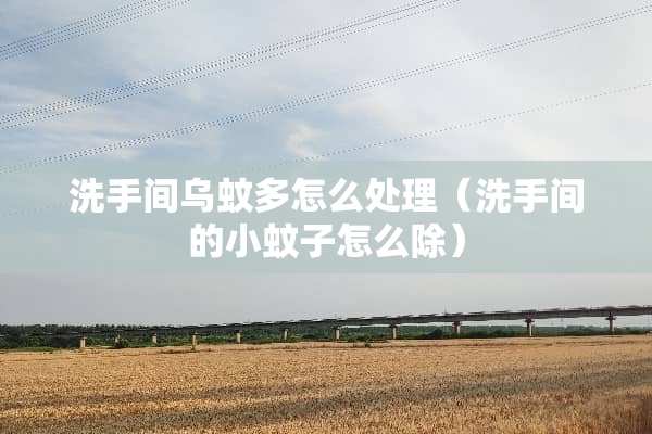 洗手间乌蚊多怎么处理（洗手间的小蚊子怎么除）