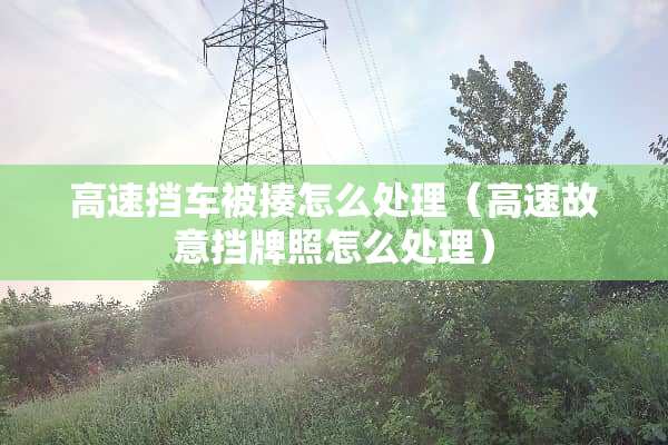 高速挡车被揍怎么处理（高速故意挡牌照怎么处理）