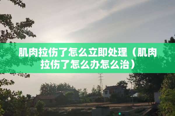 肌肉拉伤了怎么立即处理（肌肉拉伤了怎么办怎么治）