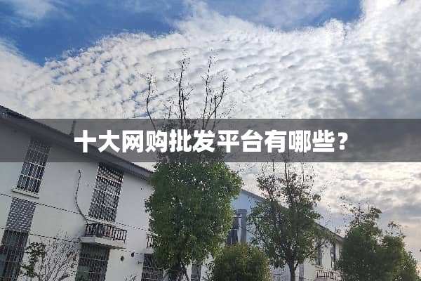 十大网购批发平台有哪些？