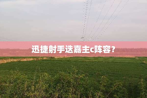 迅捷射手迭嘉主c阵容？