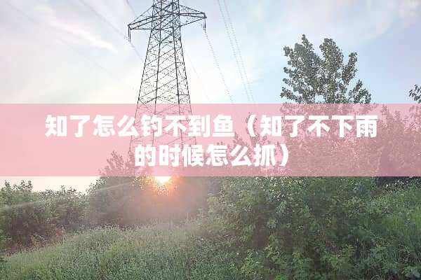 知了怎么钓不到鱼（知了不下雨的时候怎么抓）