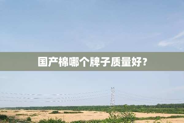 国产棉哪个牌子质量好？