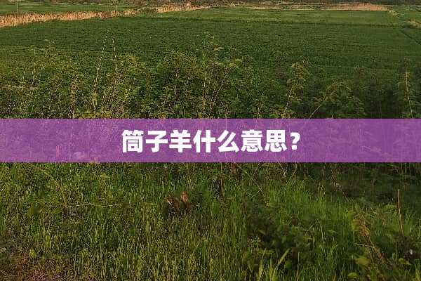 筒子羊什么意思？