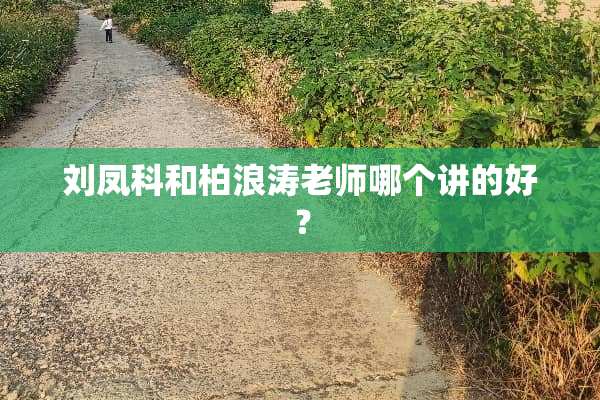 刘凤科和柏浪涛老师哪个讲的好？