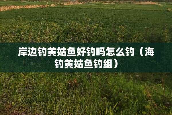 岸边钓黄姑鱼好钓吗怎么钓（海钓黄姑鱼钓组）