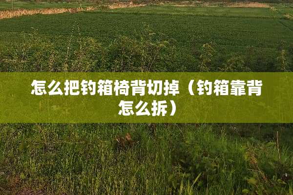 怎么把钓箱椅背切掉（钓箱靠背怎么拆）