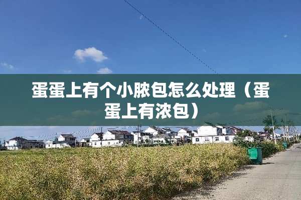 蛋蛋上有个小脓包怎么处理（蛋蛋上有浓包）
