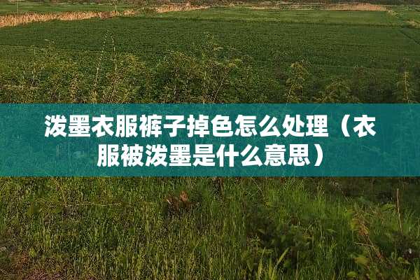 泼墨衣服裤子掉色怎么处理（衣服被泼墨是什么意思）