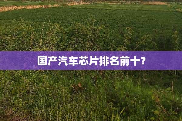 国产汽车芯片排名前十？