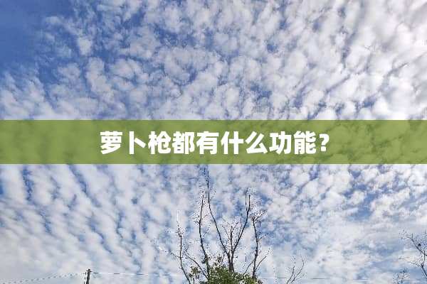萝卜*都有什么功能？
