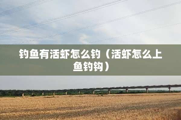 钓鱼有活虾怎么钓（活虾怎么上鱼钓钩）