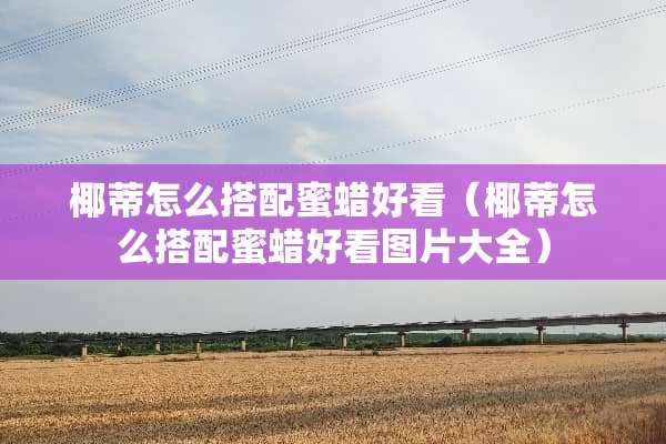椰蒂怎么搭配蜜蜡好看（椰蒂怎么搭配蜜蜡好看图片大全）