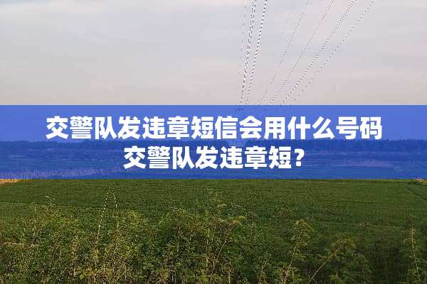 交警队发违章短信会用什么号码交警队发违章短？