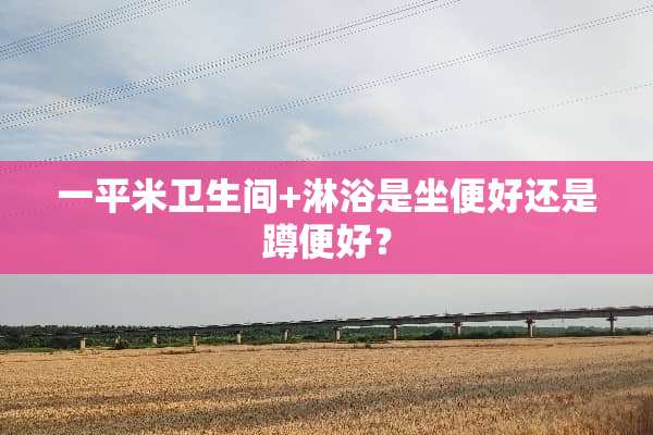 一平米卫生间+淋浴是坐便好还是蹲便好？