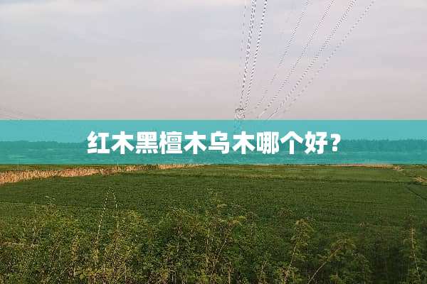 红木黑檀木乌木哪个好？