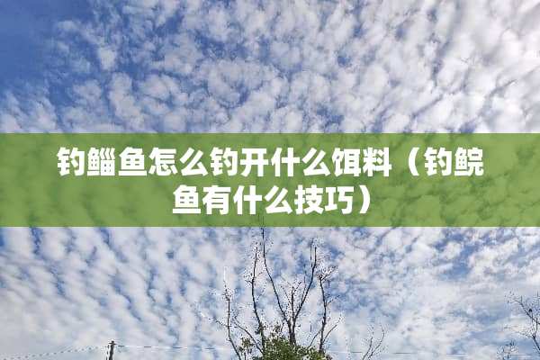钓鲻鱼怎么钓开什么饵料（钓鲩鱼有什么技巧）