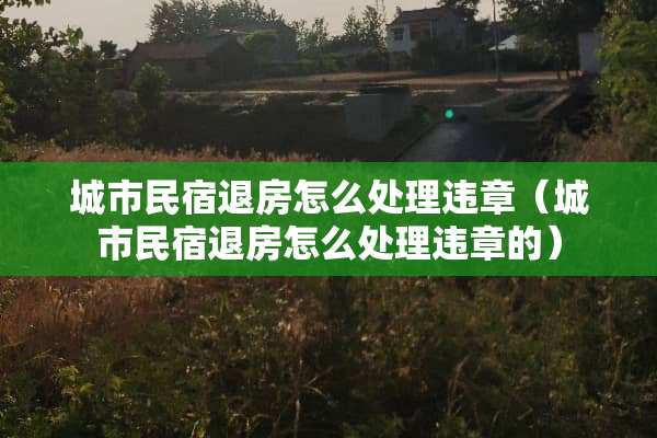 城市民宿退房怎么处理违章（城市民宿退房怎么处理违章的）