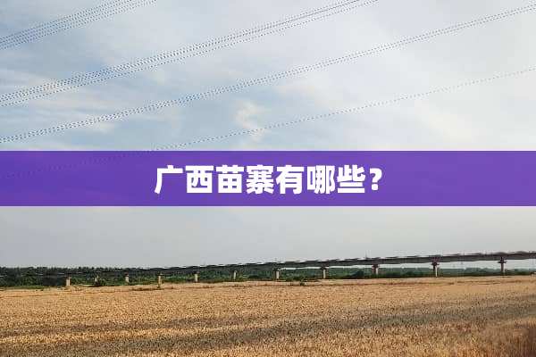 广西苗寨有哪些？