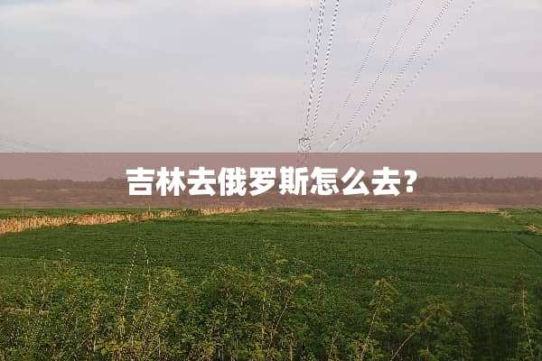 吉林去俄罗斯怎么去？