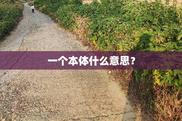 一个本体什么意思？